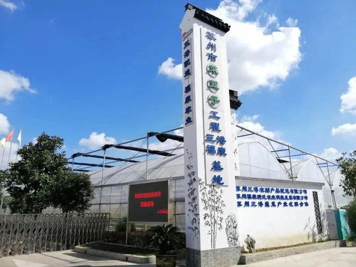 紓難解困，精準服務 賦能農副產品企業高質量發展